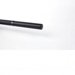 Shimano Canna Alivio Surf T 450 BX-G 4,50m 225g